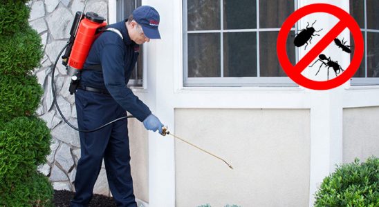 Susurluk Bit İlaçlama böcek ilaçlama ve haşere kontrolü — ilaclama-tr.com